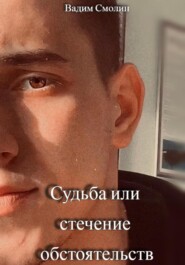бесплатно читать книгу Судьба или стечение обстоятельств автора Вадим Смолин