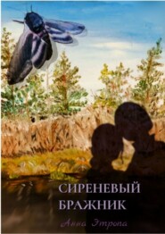 бесплатно читать книгу Сиреневый бражник автора Анна Этропа