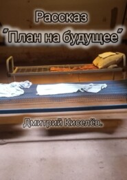 бесплатно читать книгу План на будущее автора Дмитрий Киселев