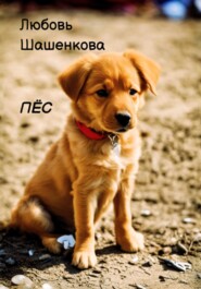 бесплатно читать книгу Пёс автора Любовь Шашенкова