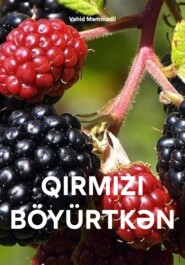 бесплатно читать книгу QIRMIZI BÖYÜRTKƏN автора Vahid Məmmədli