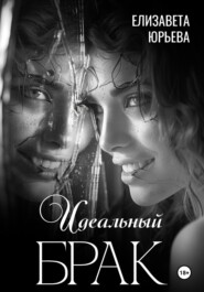 бесплатно читать книгу Идеальный брак автора Елизавета Юрьева