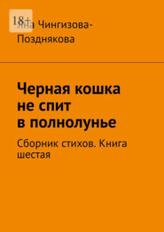 бесплатно читать книгу Черная кошка не спит в полнолунье. Сборник стихов. Книга шестая автора Яна Чингизова-Позднякова