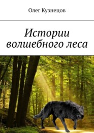 бесплатно читать книгу Истории волшебного леса автора Олег Кузнецов