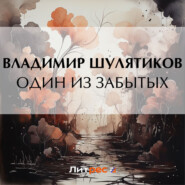 бесплатно читать книгу Один из забытых автора Владимир Шулятиков