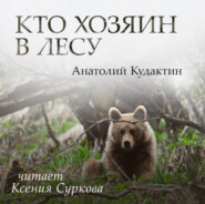 бесплатно читать книгу Кто хозяин в лесу автора Анатолий Кудактин