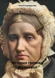 бесплатно читать книгу История госпожи Ишимовой автора Елена Селиверстова