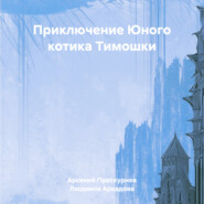 бесплатно читать книгу Приключение Юного котика Тимошки автора Людмила Аркадова
