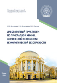 бесплатно читать книгу Лабораторный практикум по прикладной химии, химической технологии и экологической безопасности автора Галина Курочкина