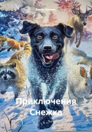 бесплатно читать книгу Приключения Снежка автора Денис Еремин