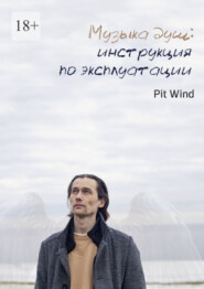 бесплатно читать книгу Музыка душ: инструкция по эксплуатации автора Pit Wind