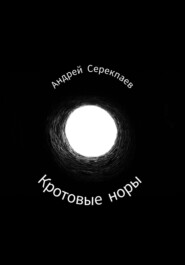 бесплатно читать книгу Кротовые норы автора Андрей Серекпаев
