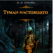 бесплатно читать книгу Туман настоящего автора Наталья Орлова