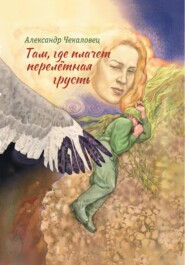 бесплатно читать книгу Там, где плачет перелётная грусть автора Александр Чекаловец
