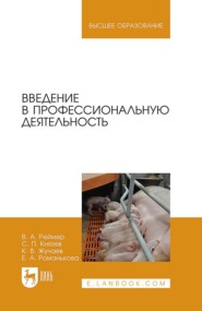 бесплатно читать книгу Введение в профессиональную деятельность. Учебник для вузов автора Елена Романькова