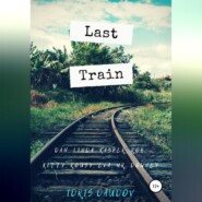 бесплатно читать книгу Last Train автора  Idris Daudov