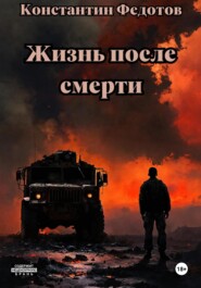 бесплатно читать книгу Жизнь после смерти автора Константин Федотов