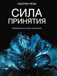 бесплатно читать книгу Сила принятия. Возродиться за одно мгновение автора Насрин Реза