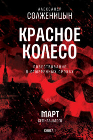 бесплатно читать книгу Красное колесо. Узел 3. Март Семнадцатого. Книга 2. Том 6 автора Александр Солженицын