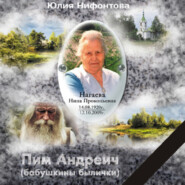 бесплатно читать книгу Пим Андреич автора Юлия Нифонтова