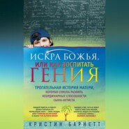 бесплатно читать книгу Искра Божья, или Как воспитать гения автора Кристин Барнетт