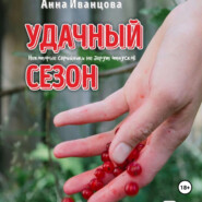 бесплатно читать книгу Удачный сезон автора Анна Иванцова