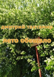 бесплатно читать книгу Лето обещало автора Дмитрий Тахтамир