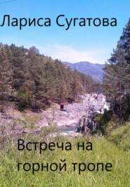 бесплатно читать книгу Встреча на горной тропе автора Лариса Сугатова