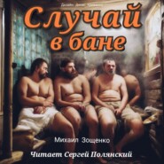 бесплатно читать книгу Случай в бане автора Михаил Зощенко