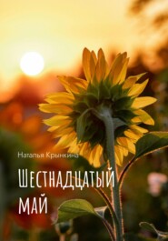 бесплатно читать книгу Шестнадцатый май автора Наталья Крынкина
