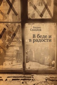 бесплатно читать книгу В беде и радости автора Борис Соколов