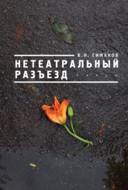 бесплатно читать книгу Нетеатральный разъезд автора В.Н. Симаков