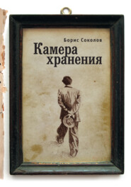 бесплатно читать книгу Камера хранения автора Борис Соколов
