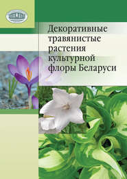 бесплатно читать книгу Декоративные травянистые растения культурной флоры Беларуси автора Наталья Лунина