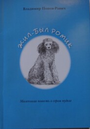 бесплатно читать книгу Жил-был Ромик автора Владимир Попов-Равич