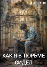 бесплатно читать книгу Как я в тюрьме сидел автора Алекс По