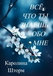 бесплатно читать книгу Всё, что ты знаешь обо мне автора  Каролина Шторм