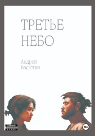 бесплатно читать книгу Третье небо автора Андрей Васютин
