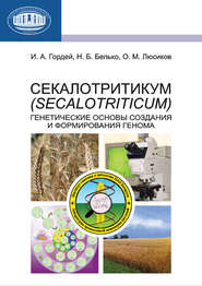 бесплатно читать книгу Секалотритикум (Secalotriticum). Генетические основы создания и формирования генома автора Иван Гордей