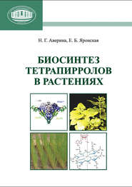 бесплатно читать книгу Биосинтез тетрапирролов в растениях автора Елена Яронская
