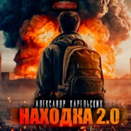 бесплатно читать книгу Находка 2.0 автора Александр Карельских