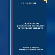 бесплатно читать книгу Управление развитием компании в условиях кризиса автора Сергей Каледин