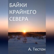 бесплатно читать книгу Байки Крайнего Севера автора  Алексей Тестон