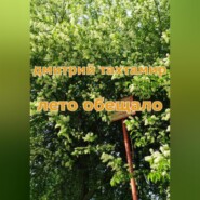бесплатно читать книгу Лето обещало автора Дмитрий Тахтамир