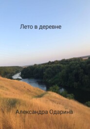 бесплатно читать книгу Лето в деревне автора Александра Одарина