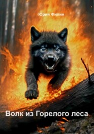 бесплатно читать книгу Волк из Горелого леса автора Юрий Филин
