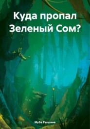 бесплатно читать книгу Куда пропал Зеленый Сом? автора  Муба Ракшина