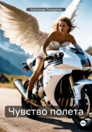 бесплатно читать книгу Чувство полета автора Александр Понкратов