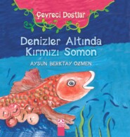 бесплатно читать книгу ÇEVRECI DOSTLAR – DENIZLER ALTINDA KIRMIZI SOMON автора AYSUN BERKTAY ÖZMEN