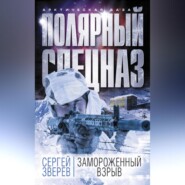 бесплатно читать книгу Замороженный взрыв автора Сергей Зверев